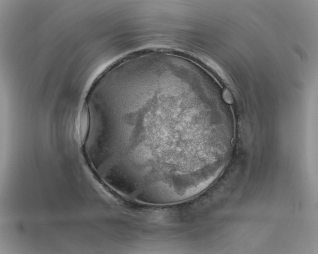 X0000113590791200909181331