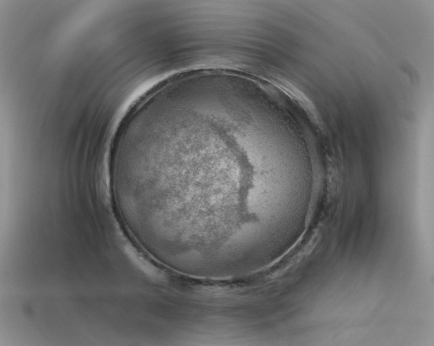 X0000113590792200909181331