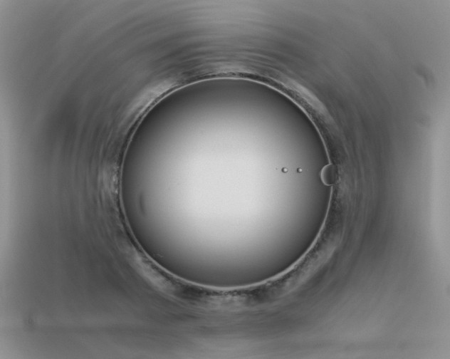 X0000113590793200909181331