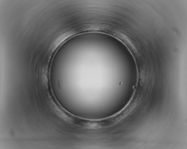 X0000113590794200909181331