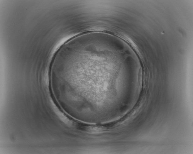 X0000113590795200909181331