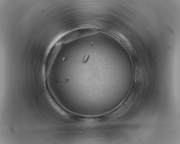 X0000113590796200909181331