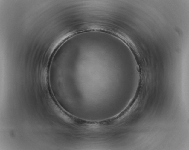 X0000113590798200909181331