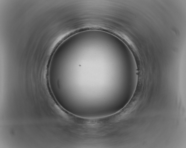 X0000113590799200909181331