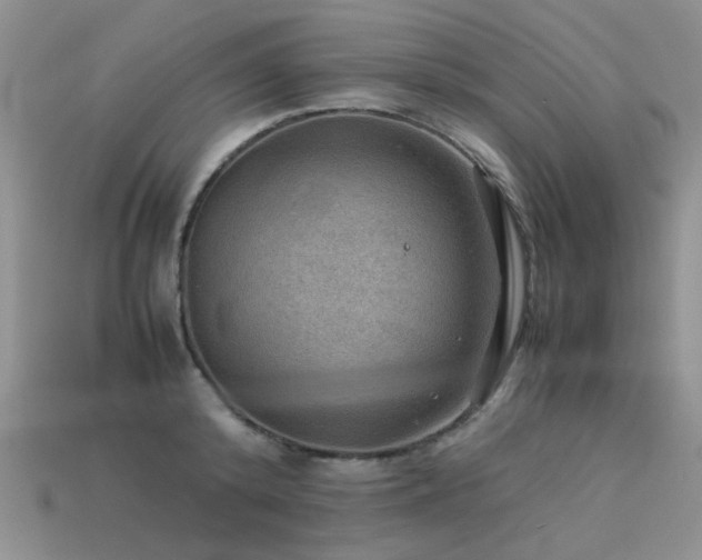 X0000113590800200909181331