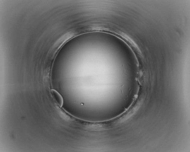 X0000113590801200909181331