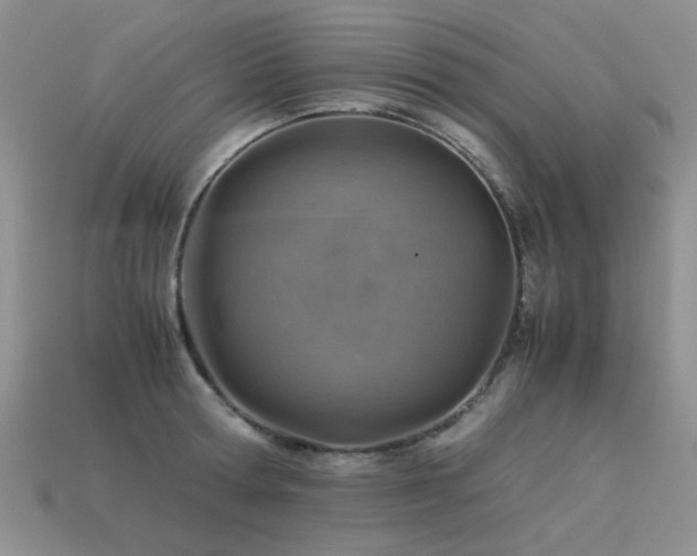 X0000113590802200909181331