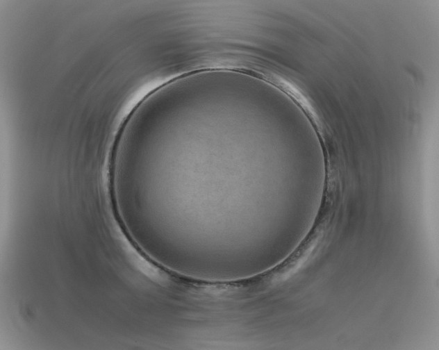 X0000113590803200909181331