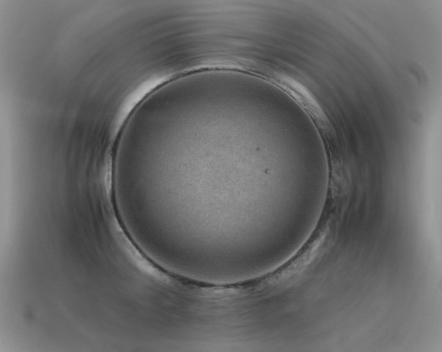 X0000113590804200909181331