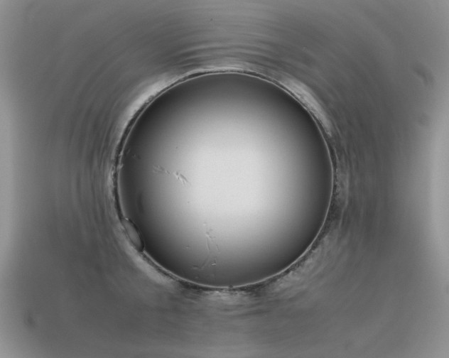 X0000113590805200909181331