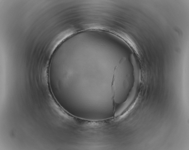 X0000113590806200909181330