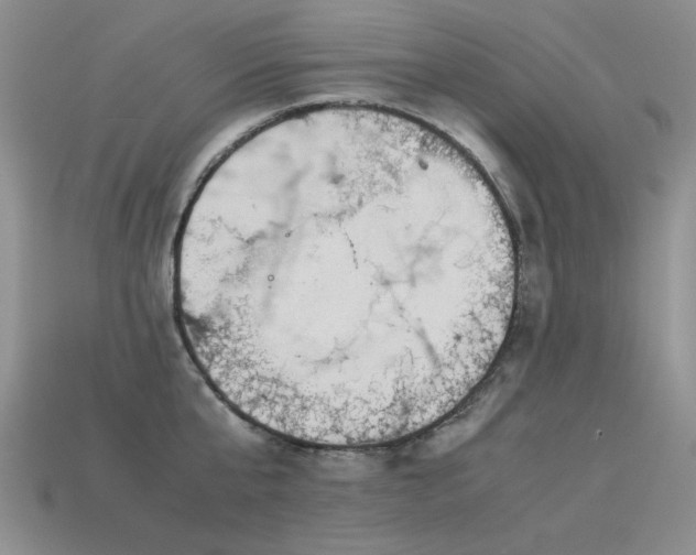 X0000113590807200909181330