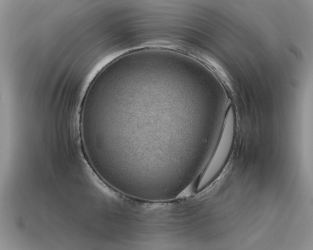 X0000113590808200909181330