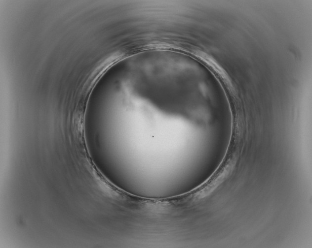 X0000113590809200909181330