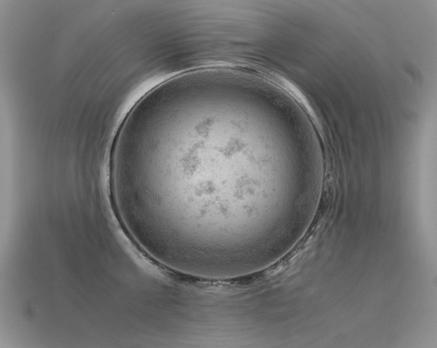 X0000113590811200909181330