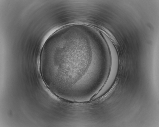 X0000113590812200909181330