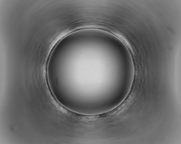 X0000113590813200909181330