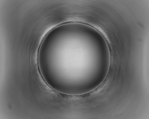 X0000113590815200909181330