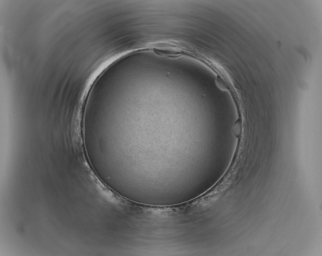 X0000113590816200909181330