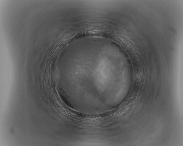 X0000113590817200909181330