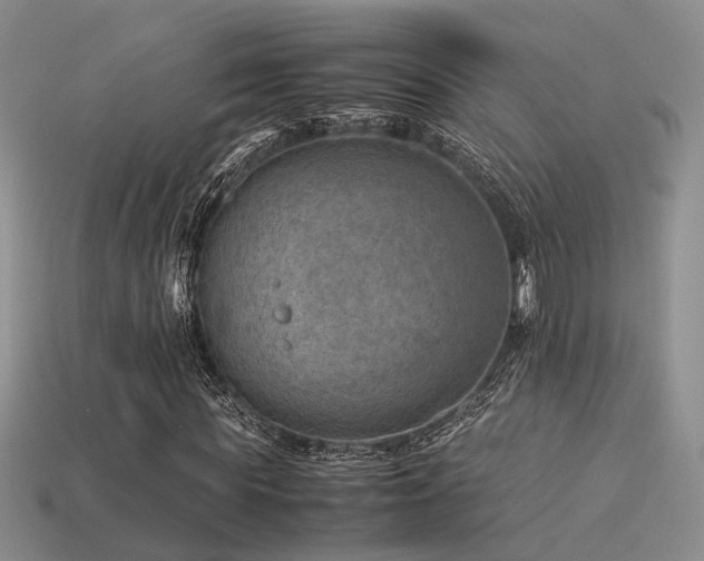 X0000113590819200909181330