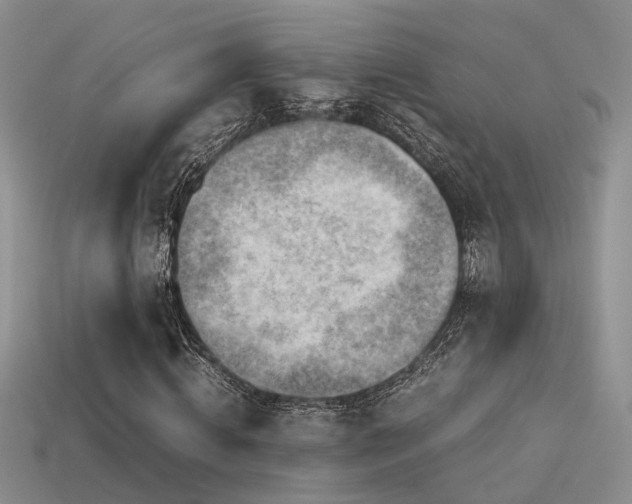 X0000113590820200909181330