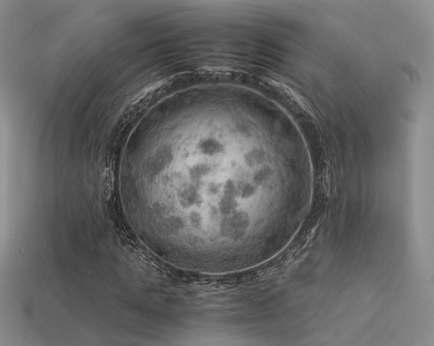 X0000113590821200909181330