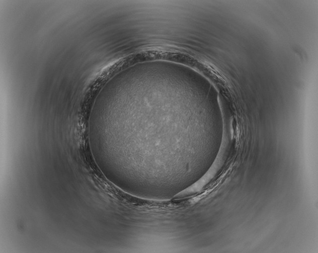 X0000113590822200909181330