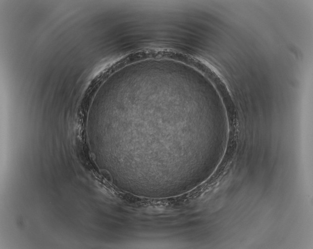 X0000113590823200909181330