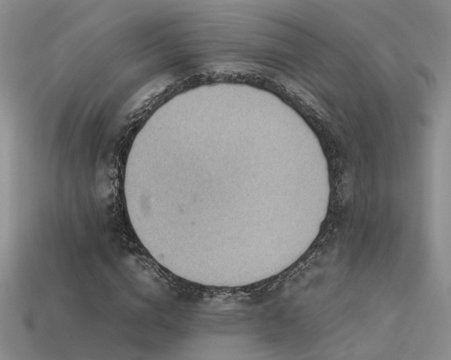 X0000113590824200909181330