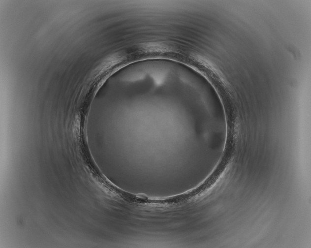 X0000113590825200909181330