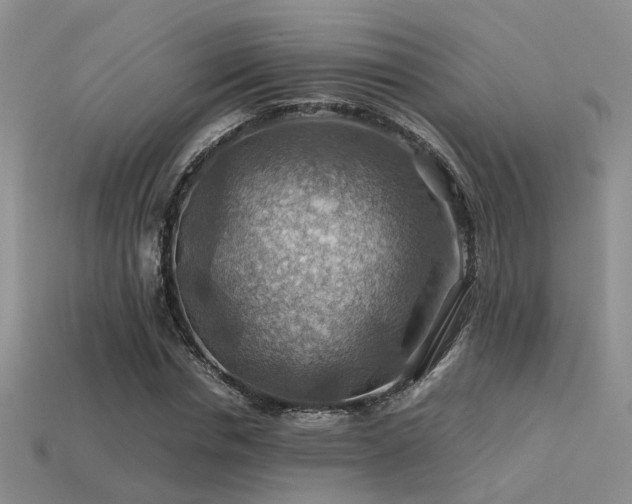 X0000113590826200909181330