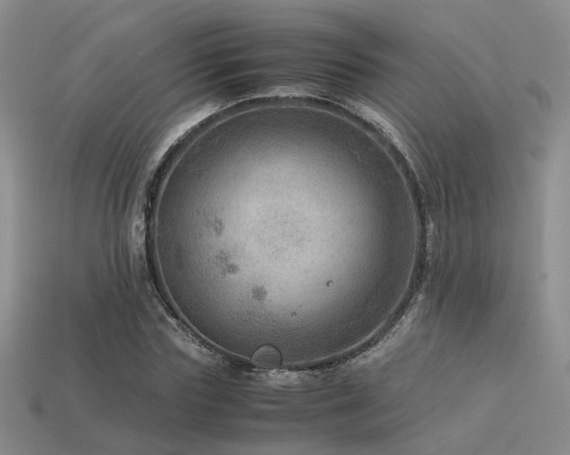 X0000113590827200909181330