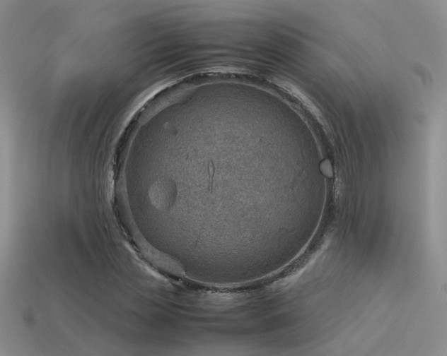 X0000113590829200909181330