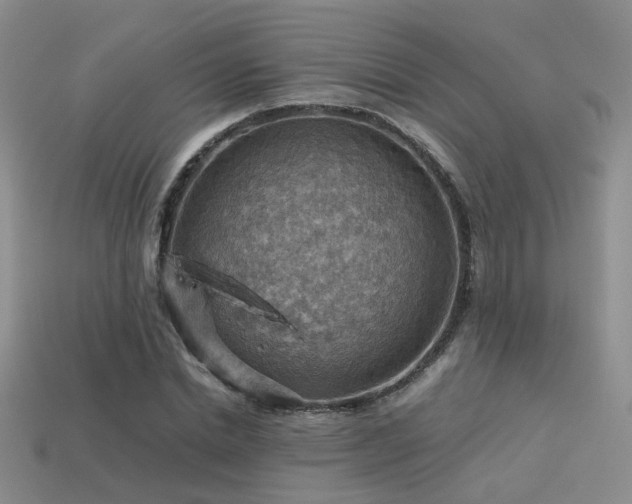 X0000113590830200909181330