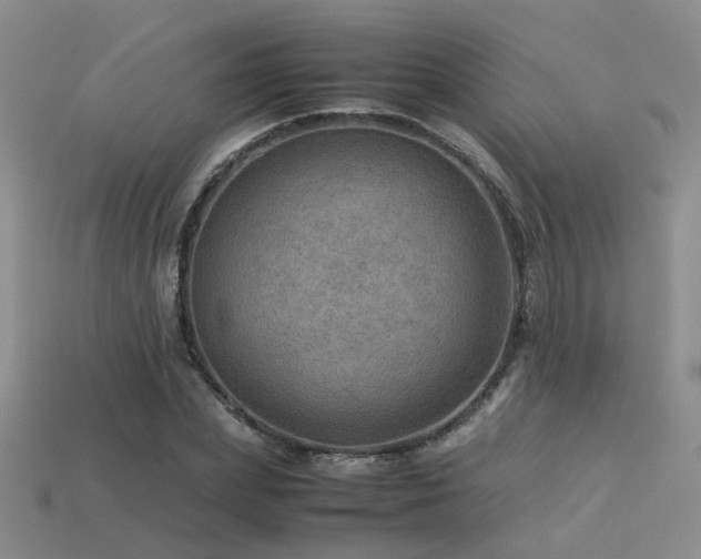 X0000113590831200909181330