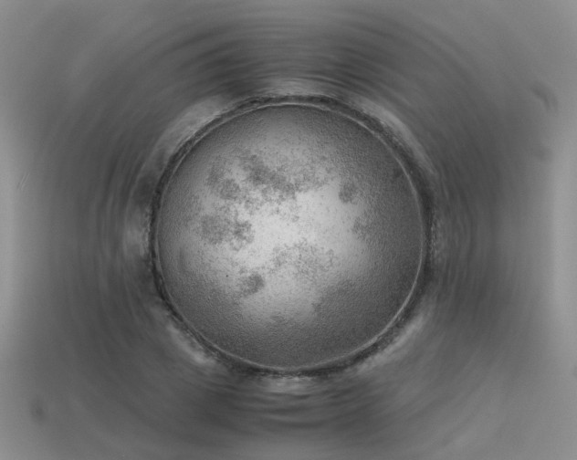 X0000113590833200909181330