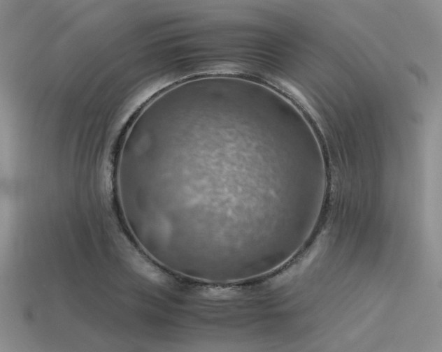 X0000113590835200909181330