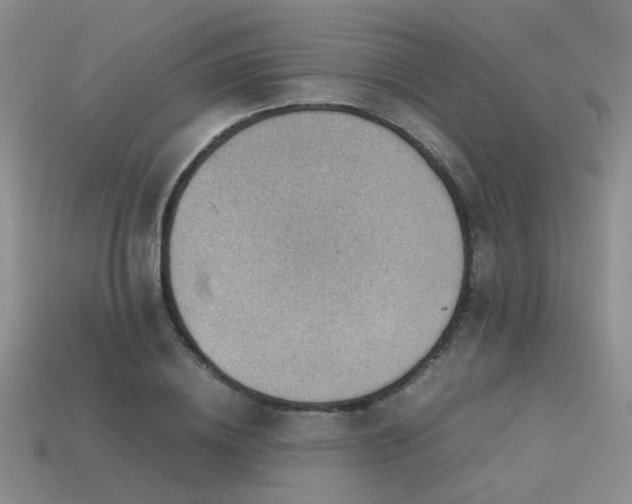 X0000113590836200909181330