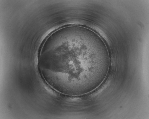 X0000113590837200909181330