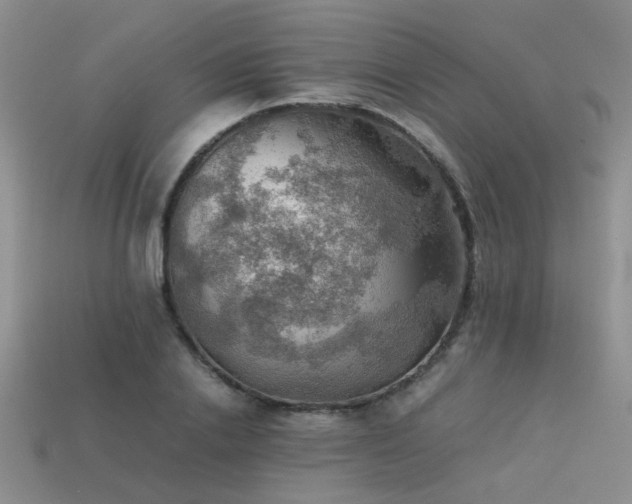 X0000113590838200909181330