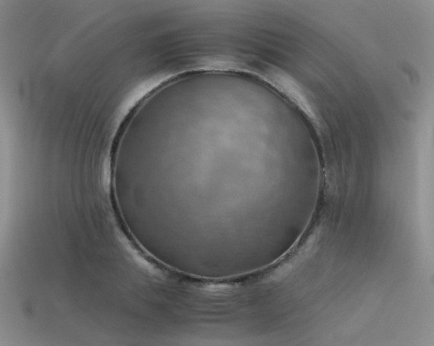 X0000113590839200909181330