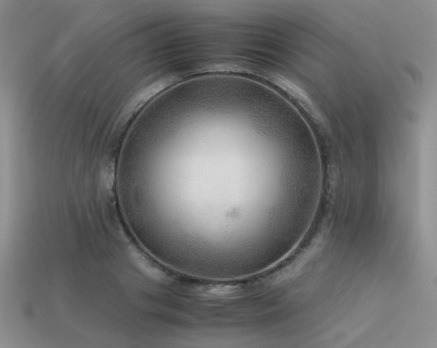 X0000113590841200909181330