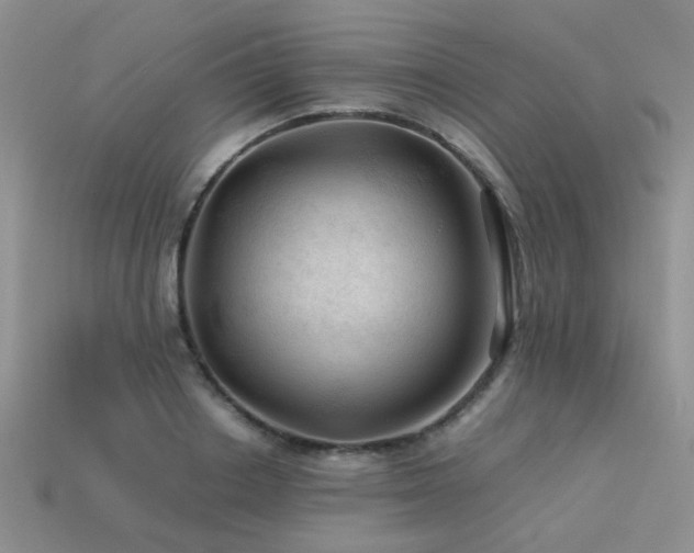 X0000113590842200909181330