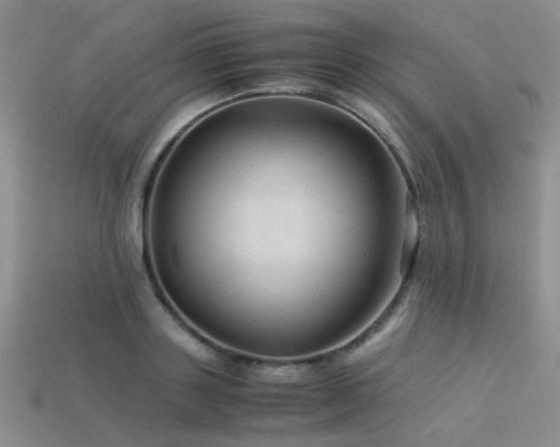 X0000113590843200909181330