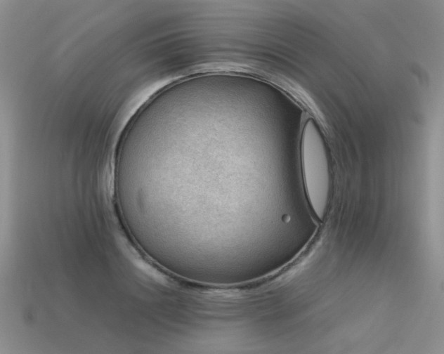 X0000113590844200909181330