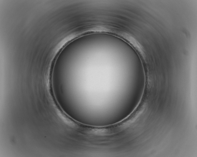 X0000113590845200909181330