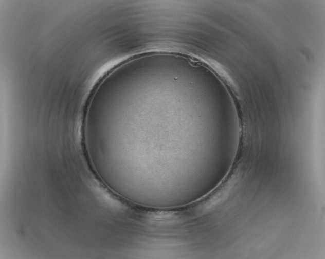 X0000113590846200909181330