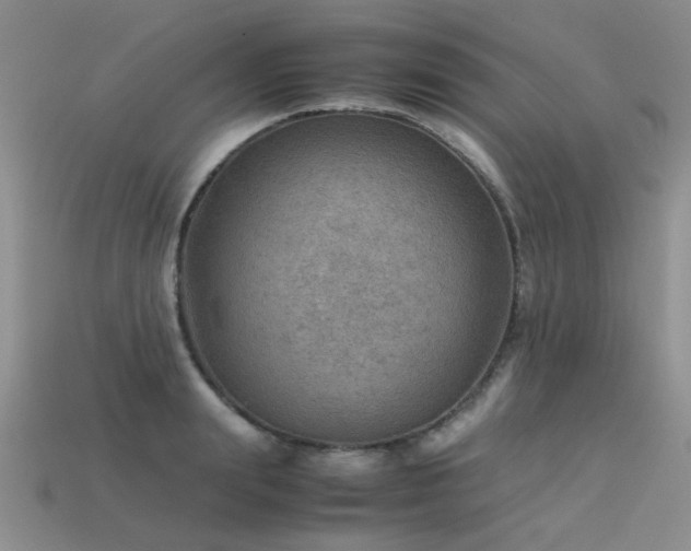 X0000113590847200909181330