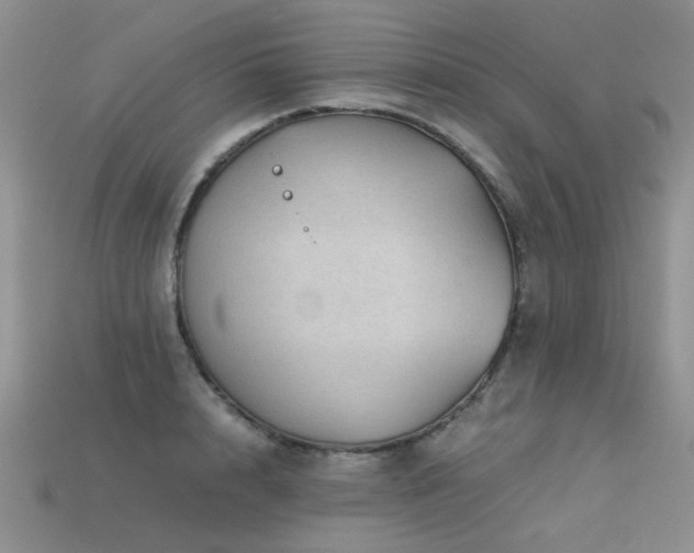 X0000113590848200909181330